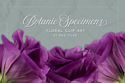 Lisianthus Blooms Realistic Flowers, an Object Graphic by Turning Moss (Thumbnail 2 of 8)