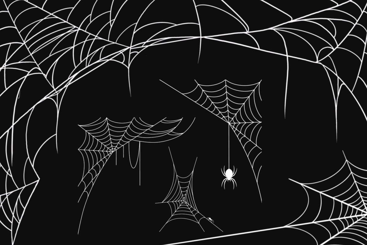 Halloween Cobweb, an Object Illustration by MarisoArt (Photo 2 of 3)