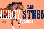 Sanford Region - Variable Font, a Slab Serif Font by Letterhend Studio (Thumbnail 4 of 11)