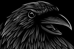 Rise Of The Raven