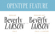 Beverly Walters Stylish Serif, a Serif Font by Letterhend Studio (Thumbnail 3 of 11)
