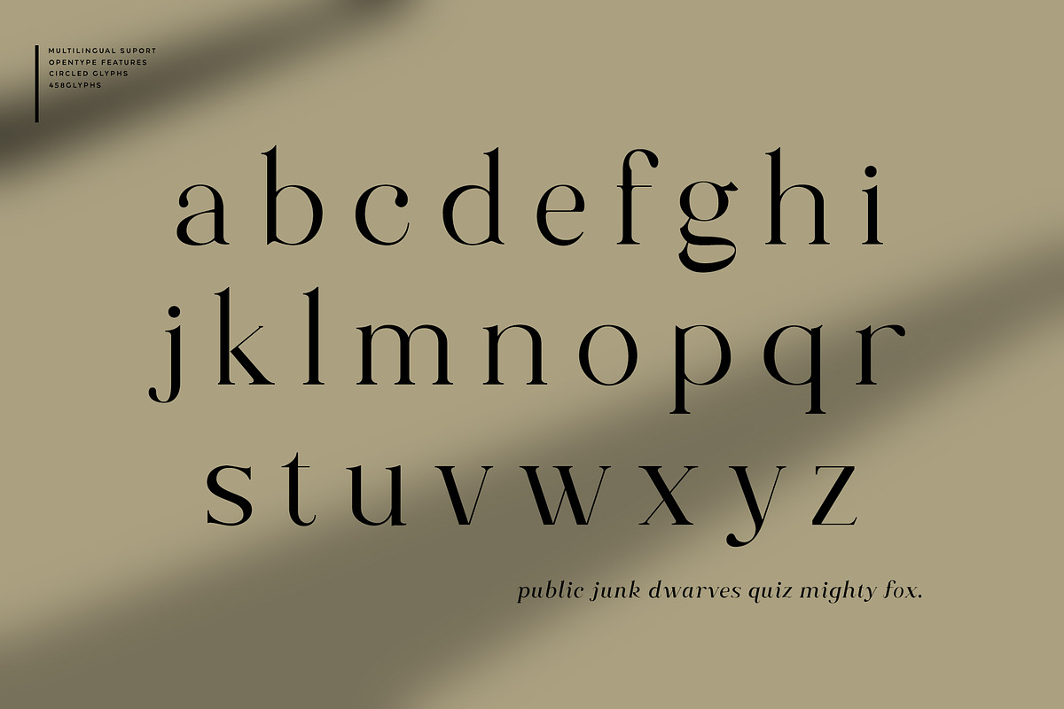 Along Serif BSC Font Family preview 6