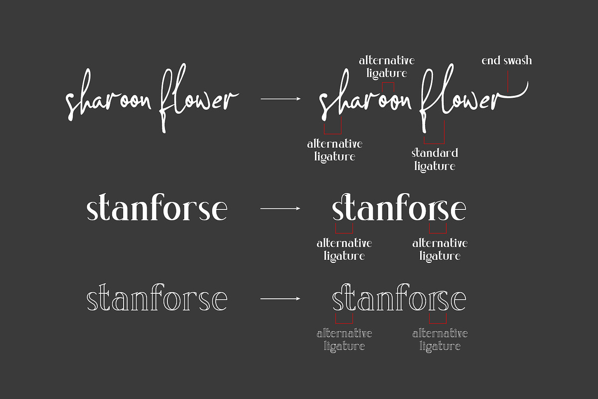 Concetta Kalvani / Signature & Serif, a Script Font by madeDeduk (Photo 9 of 14)