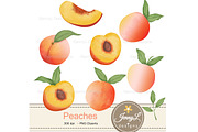 Peaches Digital Papers and Clipart, a Pattern Graphic by JennyL Designs (Thumbnail 2 of 7)