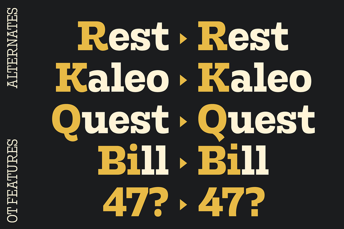 Rods; 72 Styles Slab Serif, a Slab Serif Font by Eko Bimantara (Photo 8 of 17)