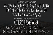 Vacation, a Handwritten Font by FreshTypeINK (Thumbnail 8 of 8)