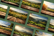 19 Farm Presentation Backdrops, a Food & Drink Photo by Incomelion (Thumbnail 5 of 6)