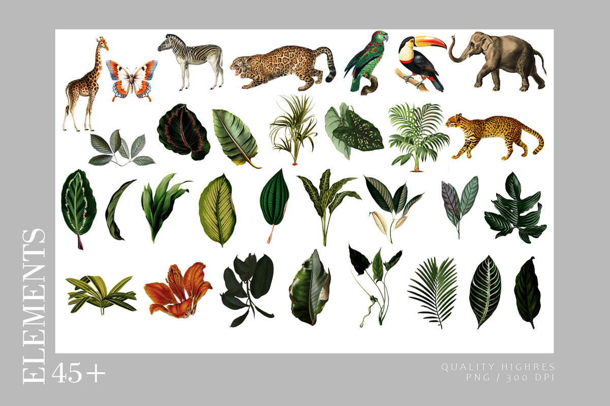 Savanah Pattern Summer, a Wallpaper Graphic by Luiz da Rolt Grathwohl (Photo 2 of 8)