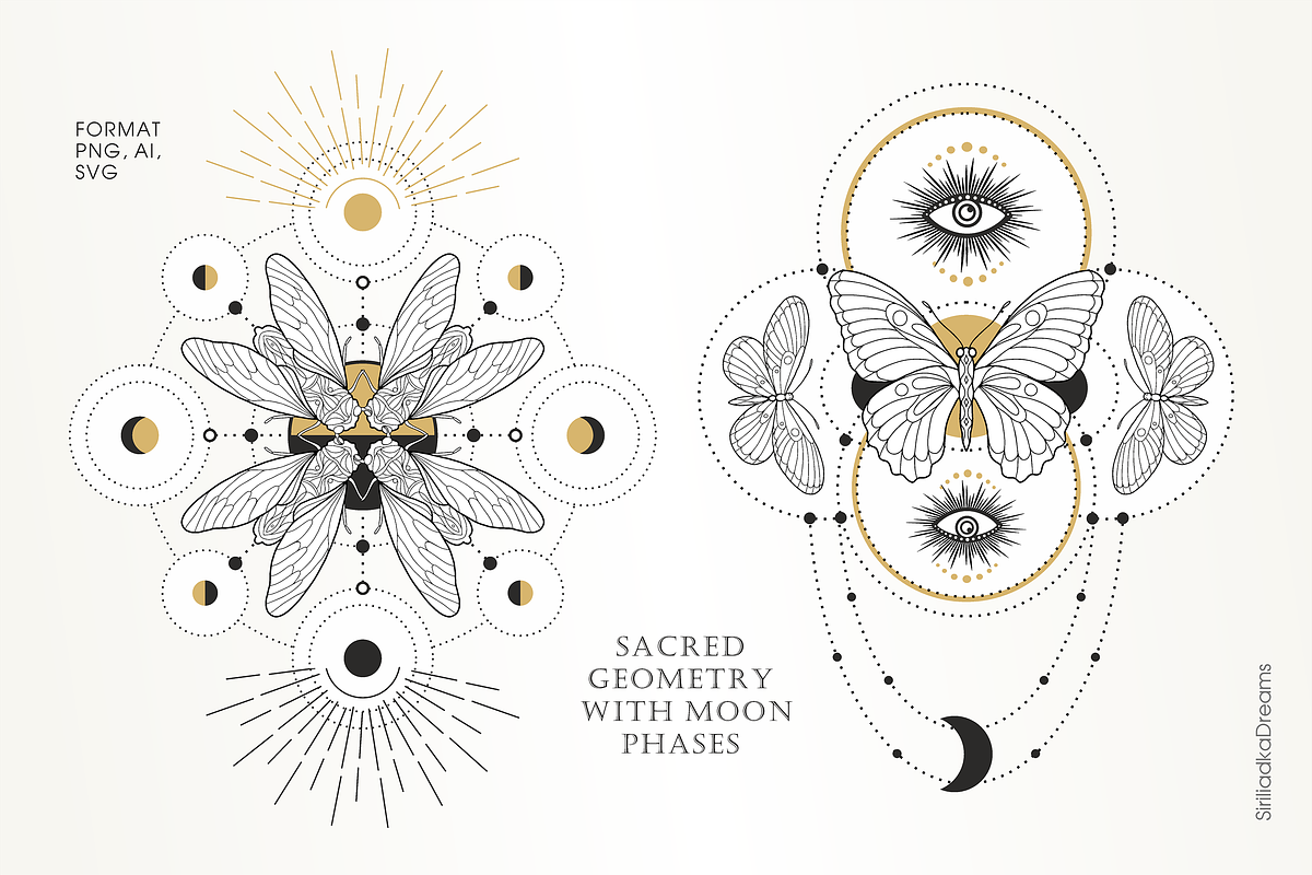 Skakralny geometry and beetles, an Illustration by Siriliadka Dreams (Photo 8 of 10)