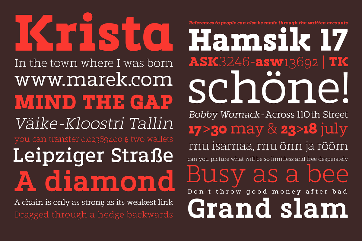 Marek Slab / A slab serif font f. preview 2