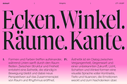 Animal, a Serif Font by Latinotype (Thumbnail 3 of 14)