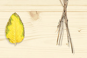 Autumn Floral Mockup Objects, an Object Graphic by uncle-rico (Thumbnail 13 of 13)