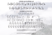 Sublimation | Script Font, a Handwritten Font by Scratchones (Thumbnail 7 of 9)