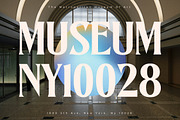 Norique Modern Display Typeface, a Serif Font by Letterena Studios (Thumbnail 3 of 15)