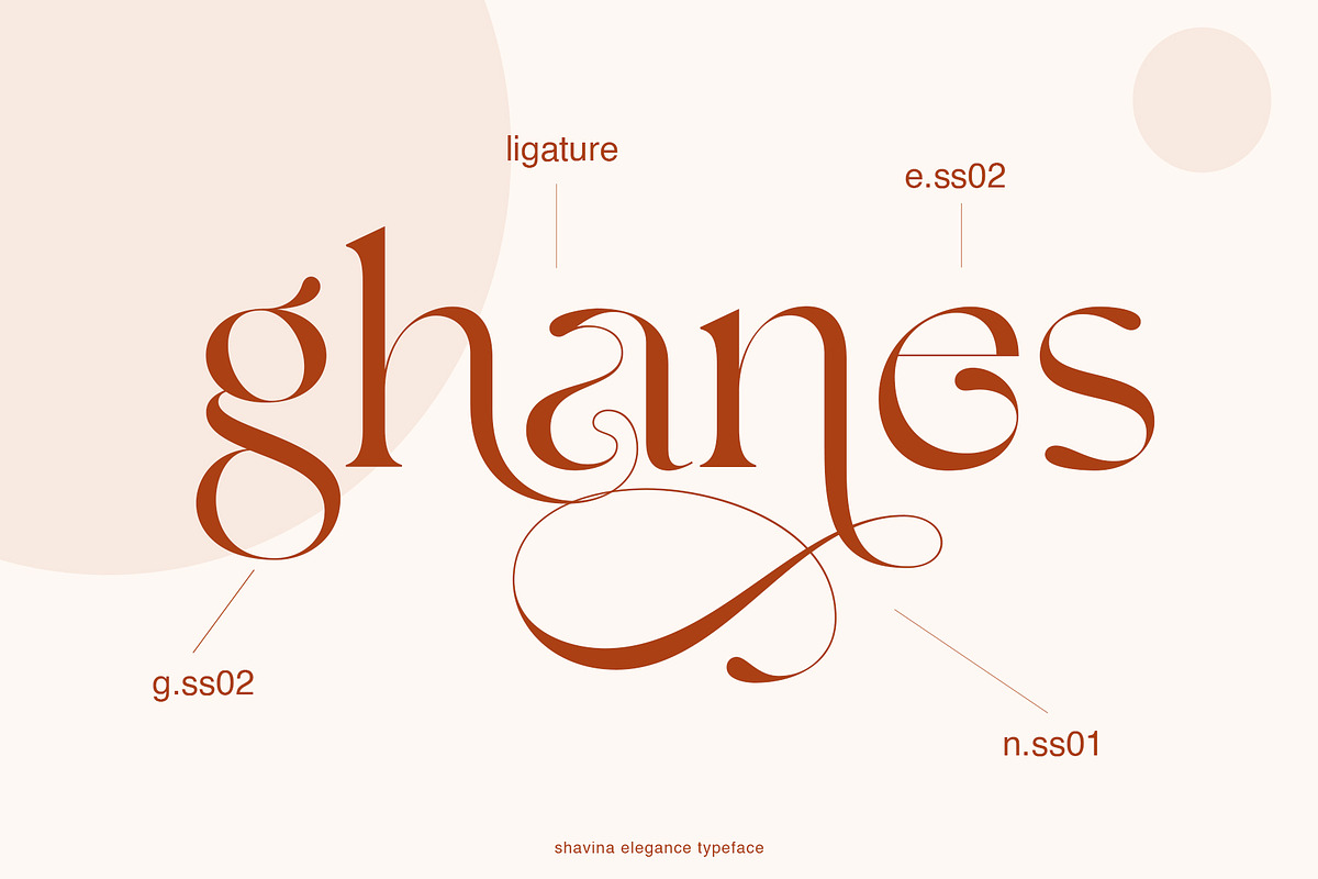 Shavina Elegance, a Serif Font by INKSUN™ (Photo 4 of 12)