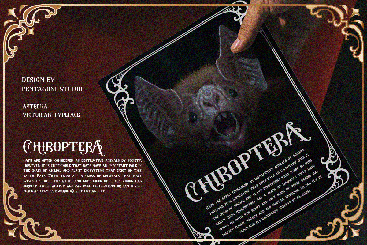 Astrena | Display Typeface, a Blackletter Font by Pentagonistudio (Photo 4 of 15)