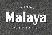 Malaya - A Classic Serif Font, a Serif Font by Wilsonkjc (Thumbnail 1 of 13)