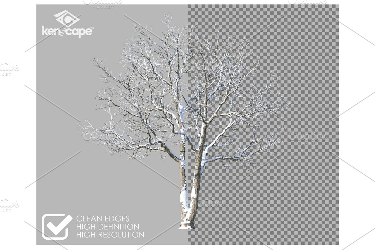 72 Winter Trees Photo Overlays, a Nature Photo by KenScape (Photo 2 of 3)