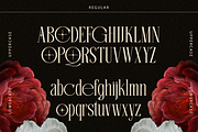 Beloved Dream - 10 Variable Font, a Serif Font by Say Studio (Thumbnail 11 of 13)