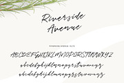 Typographer's Dream Box + 200 Logos, a Script Font by Mats-Peter Forss (Thumbnail 73 of 130)