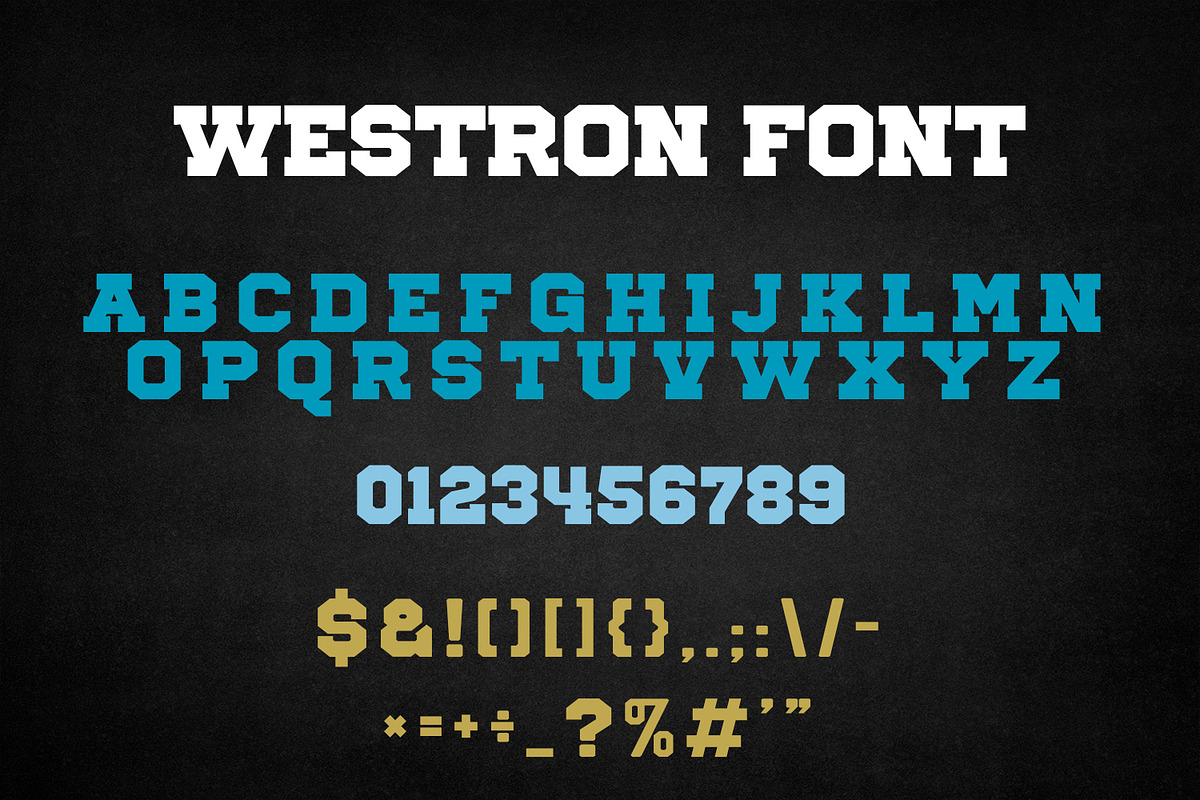 Westron Vintage Western Apparel Font, a Slab Serif Font by OWPictures (Photo 9 of 9)