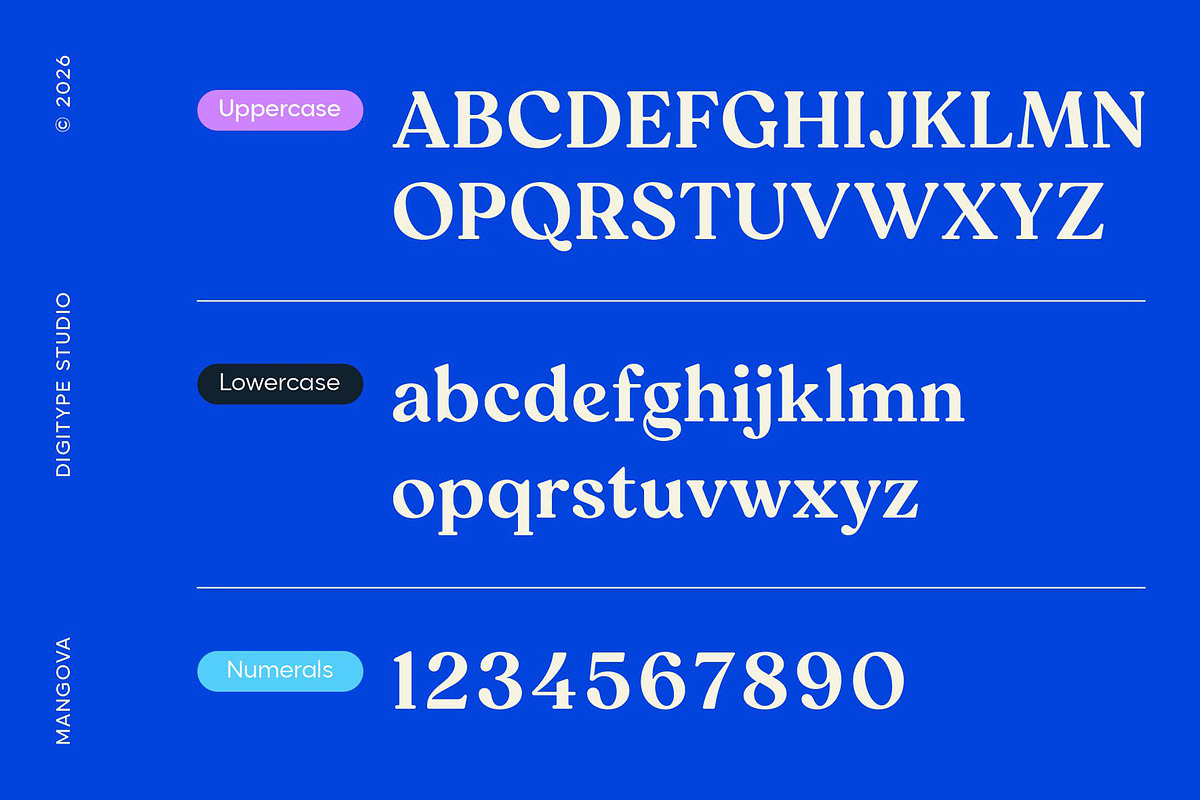 Mangova Font Family, a Serif Font by Digitype Studio (Photo 8 of 10)