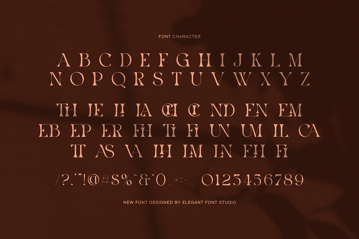 The Harid Elegant Serif Font, a Serif Font by Elegant Font (Photo 7 of 7)