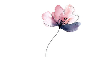 Simple flower with watercolor design, a Photo by Beautiful things