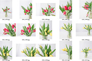 Minimalist Tulips Styled Stock, a Nature Photo by Susie Design Co (Thumbnail 2 of 3)