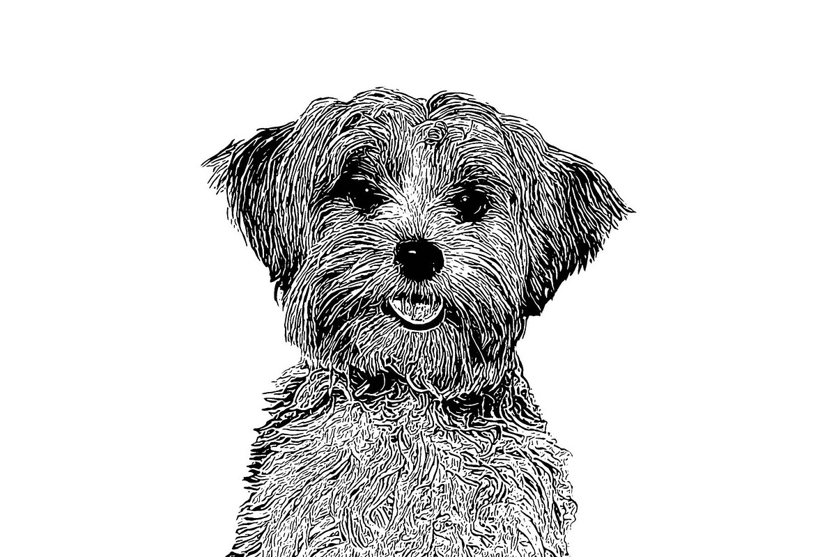 Dog Photo to Tracing Action, an Action Add-On by Photoshop Action (Photo 3 of 10)