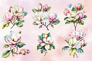 Watercolor Magnolia Flower Clipart, a Healthcare Illustration by SVGArt (Thumbnail 3 of 4)