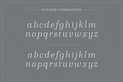 Winslow Book Hairline, a Serif Font by Kimmy Design (Thumbnail 8 of 8)
