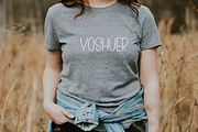 Birthday Reindeer, a Sans Serif Font by FreshTypeINK (Thumbnail 3 of 8)