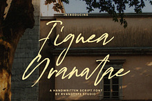 Figuea Granatae - Handwritten Script