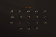 Honste Elegant Serif Display Font, a Serif Font by Graphicxell (Thumbnail 8 of 8)