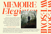 Awesome Gulgina | 18 Style Font, a Serif Font by IM Studio (Thumbnail 2 of 15)