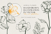 Herb & Flower Line Art in Vector, an Illustration by Manimanisa (Thumbnail 2 of 8)