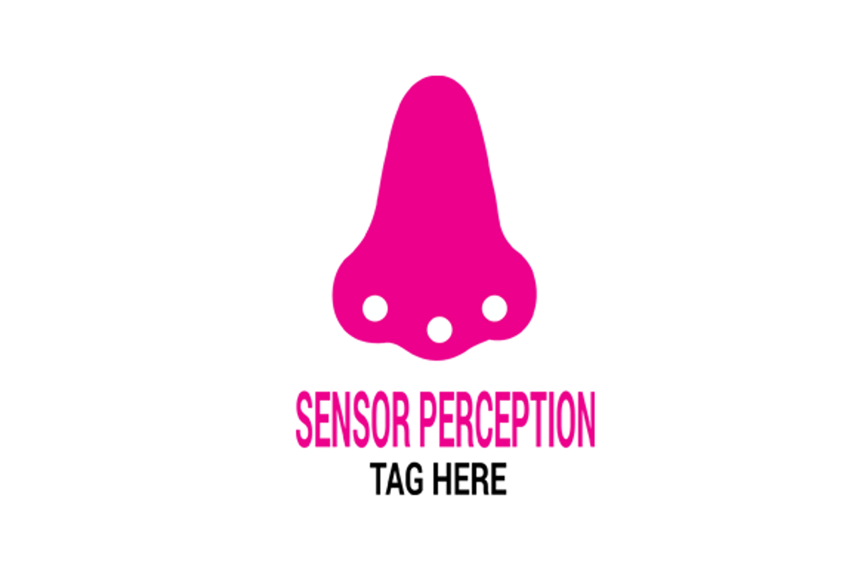 Sensor Perception Logo, a Branding & Logo Template by erikadesign (Photo 1 of 2)