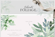 DELICATE FOLIAGE leaves greenery, an Illustration by Momo Studio (Thumbnail 5 of 15)