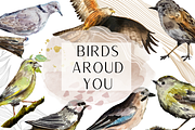 Watercolor Birds Clip Arts and Cards, an Education Illustration by Tati Bordiu (Thumbnail 1 of 5)