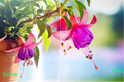 Summer Photoshop Actions 290 Bundle, an Action Add-On by ARTNEST (Thumbnail 9 of 12)
