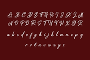 Ceylonite – Stylish Handwriting Font, a Script Font by Pokal Studio (Thumbnail 12 of 16)