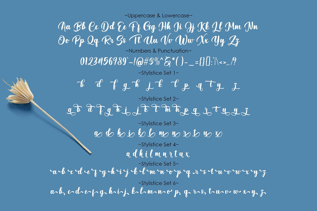 Chubby Girl Script, a Script Font by moriztype (Photo 9 of 9)