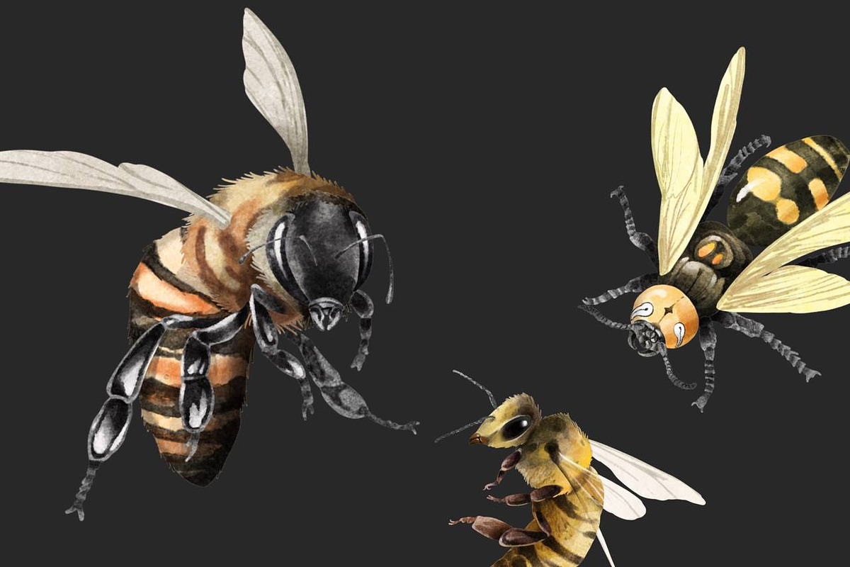 Watercolor Clipart Bee Art BumbleBee, an Animal Illustration by NKTKNS (Photo 5 of 6)