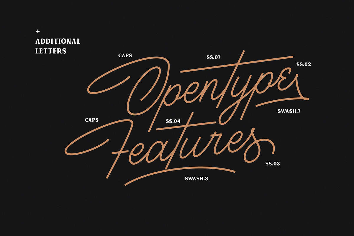 Houstoner Script + EXTRAS! (40%OFF), a Script Font by Martype (Photo 9 of 14)