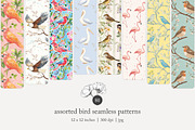 80 assorted bird seamless pattern, a Pattern Graphic by Poppy Lane Studio (Thumbnail 1 of 11)