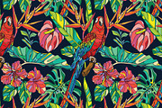 Welcome to the Jungle!, a Background Graphic by Purple Platypus (Thumbnail 4 of 7)