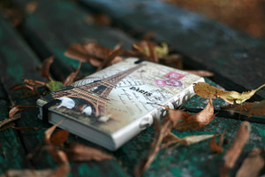 Notebook featuring adventure, autumn, and background