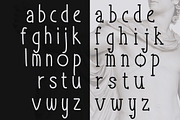 Take It or Leave It - 3 font family, a Script Font by Idil Keysan (Thumbnail 4 of 5)
