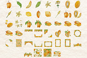 Botanical Style Mango Illustration, a Food Illustration by Milla_Zelenyuk_art (Thumbnail 2 of 5)